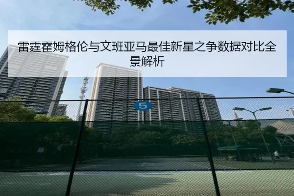雷霆霍姆格伦与文班亚马最佳新星之争数据对比全景解析