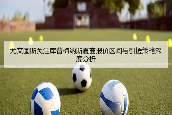 尤文图斯关注库普梅纳斯夏窗报价区间与引援策略深度分析 - leyu